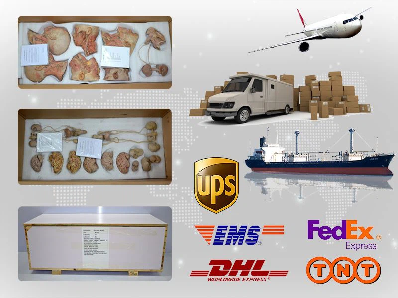 Packaging and Delivery